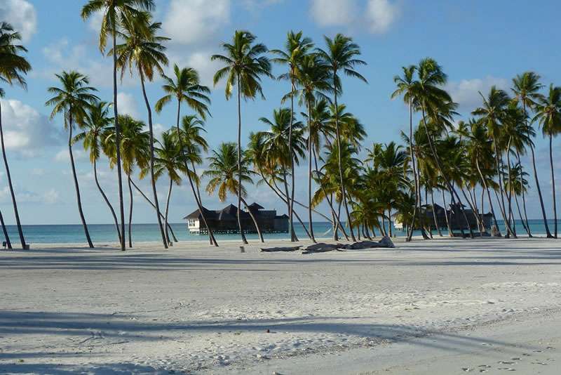 Zanzibar beach holidays combined with Tanzania safari during an African safari holiday experience